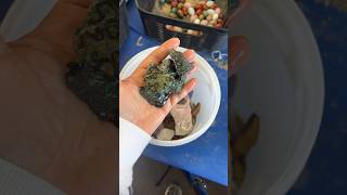 Famous Less than 50 left! Spring #Crystal Mining Bucket! #crystals #canyoudigit Profile