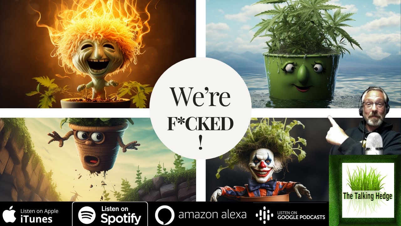 The Cannabis Industry Is F*cked!!!  (Bonus: 2024 Cannabis Crystal Ball Predictions)