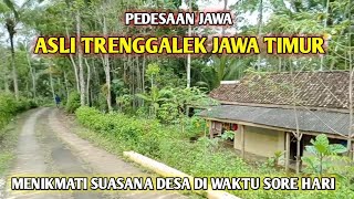 menikmati keindahan desa waktu disore hari sejuk nyaman dan asri
