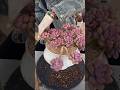 Very Simple How To Growing & repotting Succulent Plants For The Beginners | 多肉植物 | 다육식물 #979