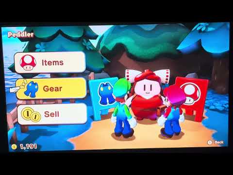 Mario and Luigi brother ship part 21