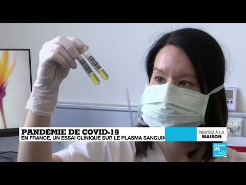 Coronavirus: En France, un essai clinique sur le plasma sanguin des convalescents Coronavirus: En France, un essai clinique sur le plasma sanguin des convalescents