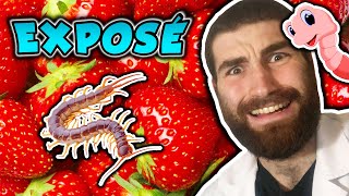 THE TRUTH ABOUT STRAWBERRIES || TikTok Trends, Real Doctor Reaction
