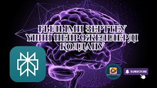 картинка: Ғылыми зерттеу үшін нейрожелілерді қолдану | Perplexity толық нұсқаулық