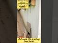 Automatic Chicken Coop Door Build! 🐔