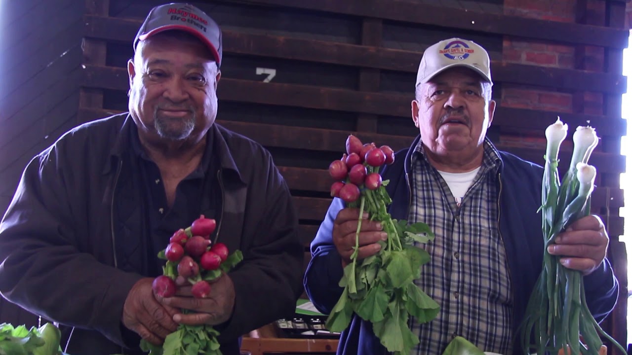 Healthy Eating ~ The Health Collaborative