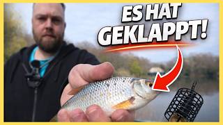UNMÖGLICH! 😱 Wie konnte ich Method Feeder so lange ignorieren?! #angeln #methodfeeder #fishing