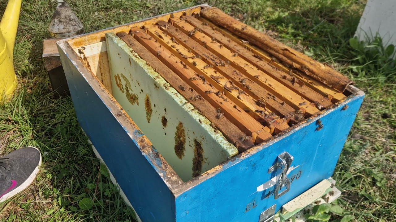 ΣΥΝΈΧΕΙΑ ΤΡΟΦΟΔΟΣΊΑ Κ ΑΝΆΠΤΥΞΗ. 20/2/2024