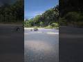 Mobil Balap rally dalam gerak lambat