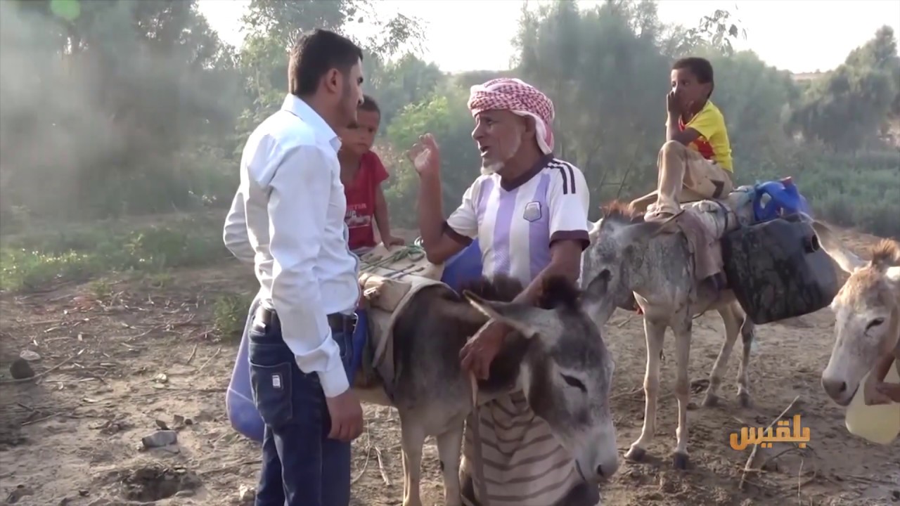 عودة المحاصيل الزراعية في مديرية حيران بحجة رغم انحسار أسواق البيع | تقرير: محمد يوسف