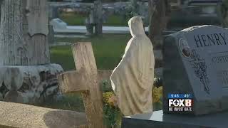Heart of Louisiana: Vanishing Cemeteries By Dave McNamara
