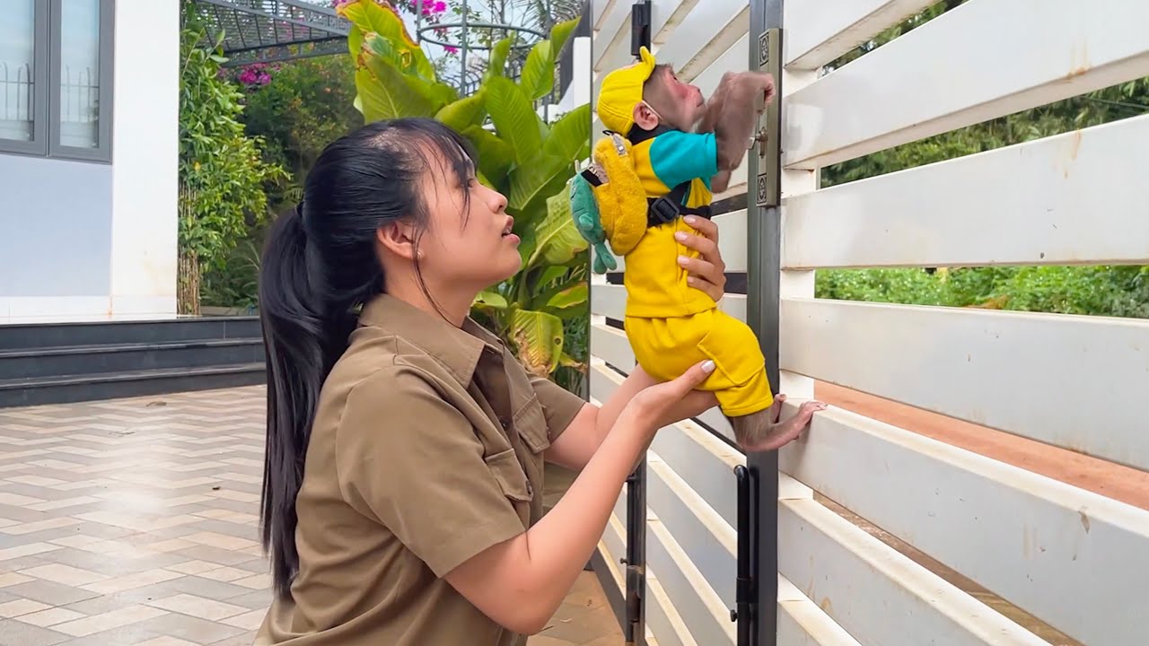 CUBIS's reaction confused Aunt! What happened