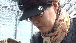 생로병사의 비밀 - Mysteries of the Human Body 20120407 # 011