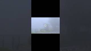 Al-Alaq (The Clot) | Divine Command: Read and Prostrate | Quran Shorts