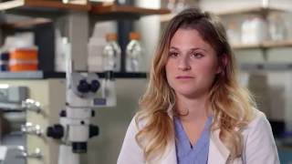 Mess, Stress and Determination | Life at Vet U
