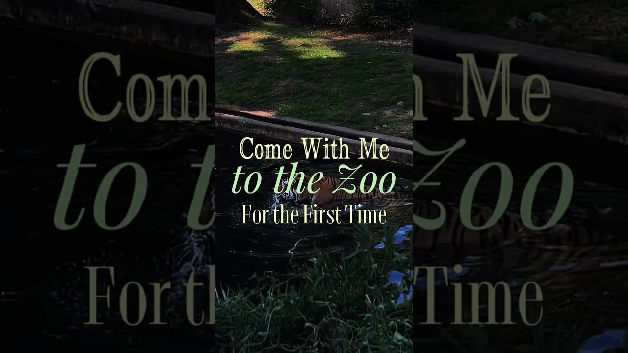 Vlog at the DC Zoo🐍 #vlogs #lifestyle #lifestylevlog