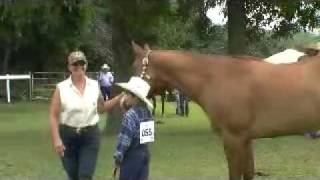 Knox County IN. Fair Mini 4-H Showmanship