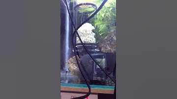 NPX bio plastics Reactor