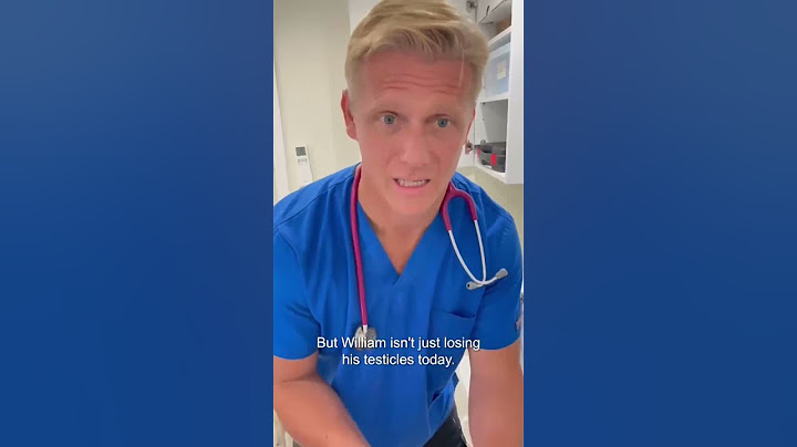 Vet Pulls Out LONGEST Stick From Dog's Throat  😱 | Bondi Vet #shorts