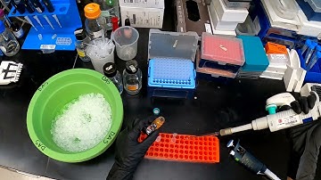 CBCH 4414 Lab - Folch Lipid Extraction