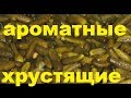 СОЛЕНЫЕ БОЧКОВЫЕ ОГУРЦЫ в БАНКАХ ПРОСТОЙ РЕЦЕПТ это лучший рецепт хрустящих огурцов