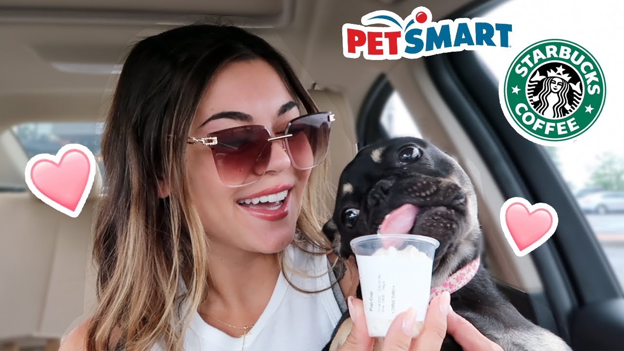 Spoiling my dog for the day! | Steph Pappas
