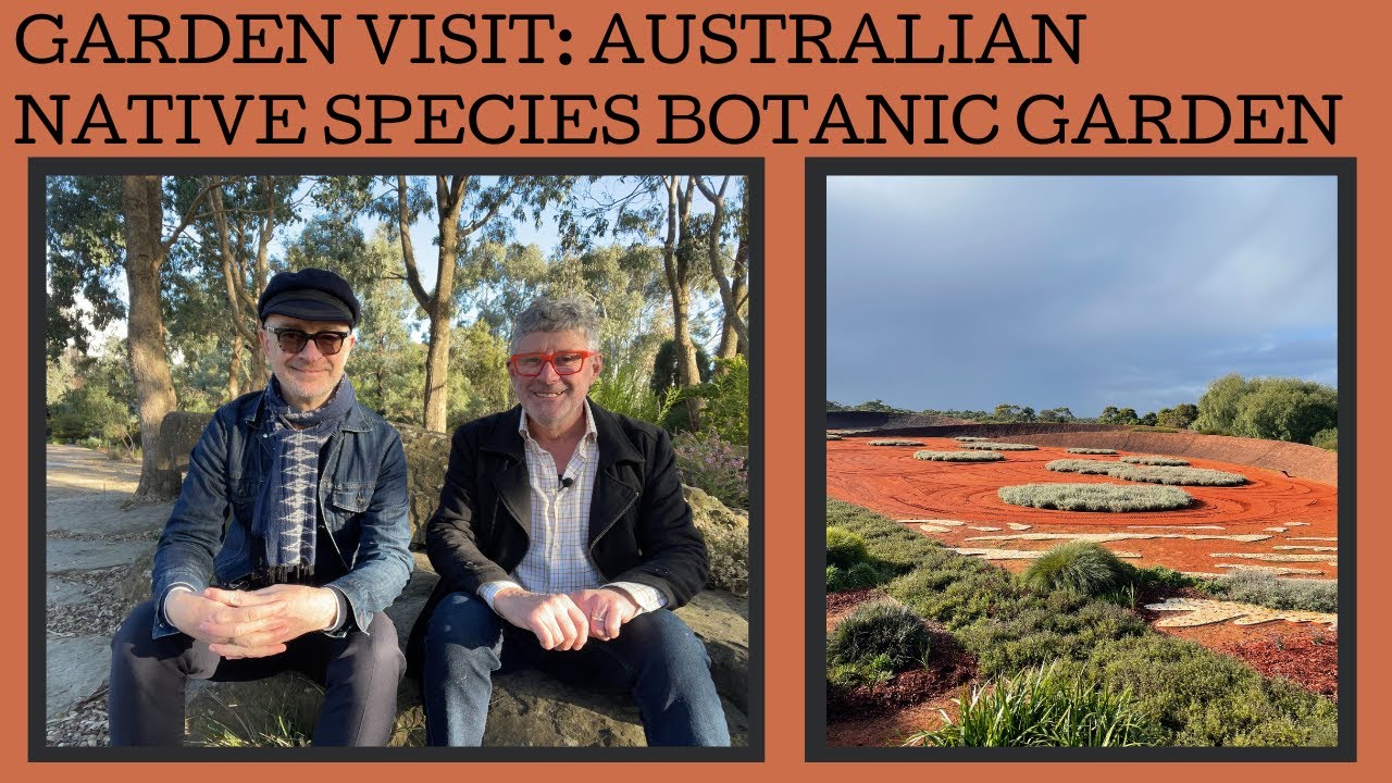 Australian native species garden visit: Royal Botanic Gardens Cranbourne.