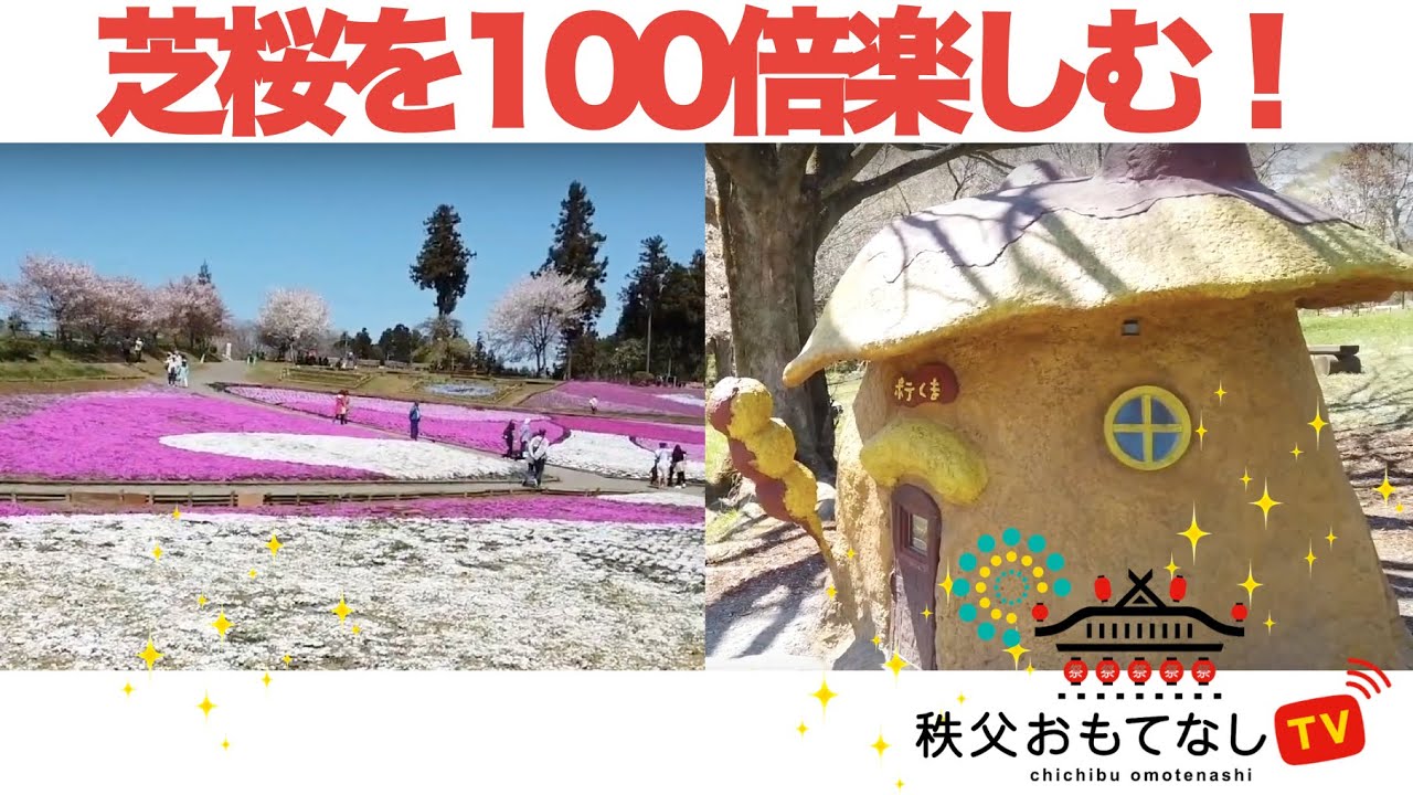 芝桜を100倍楽しむ 撮影日19 4 16 Youtube