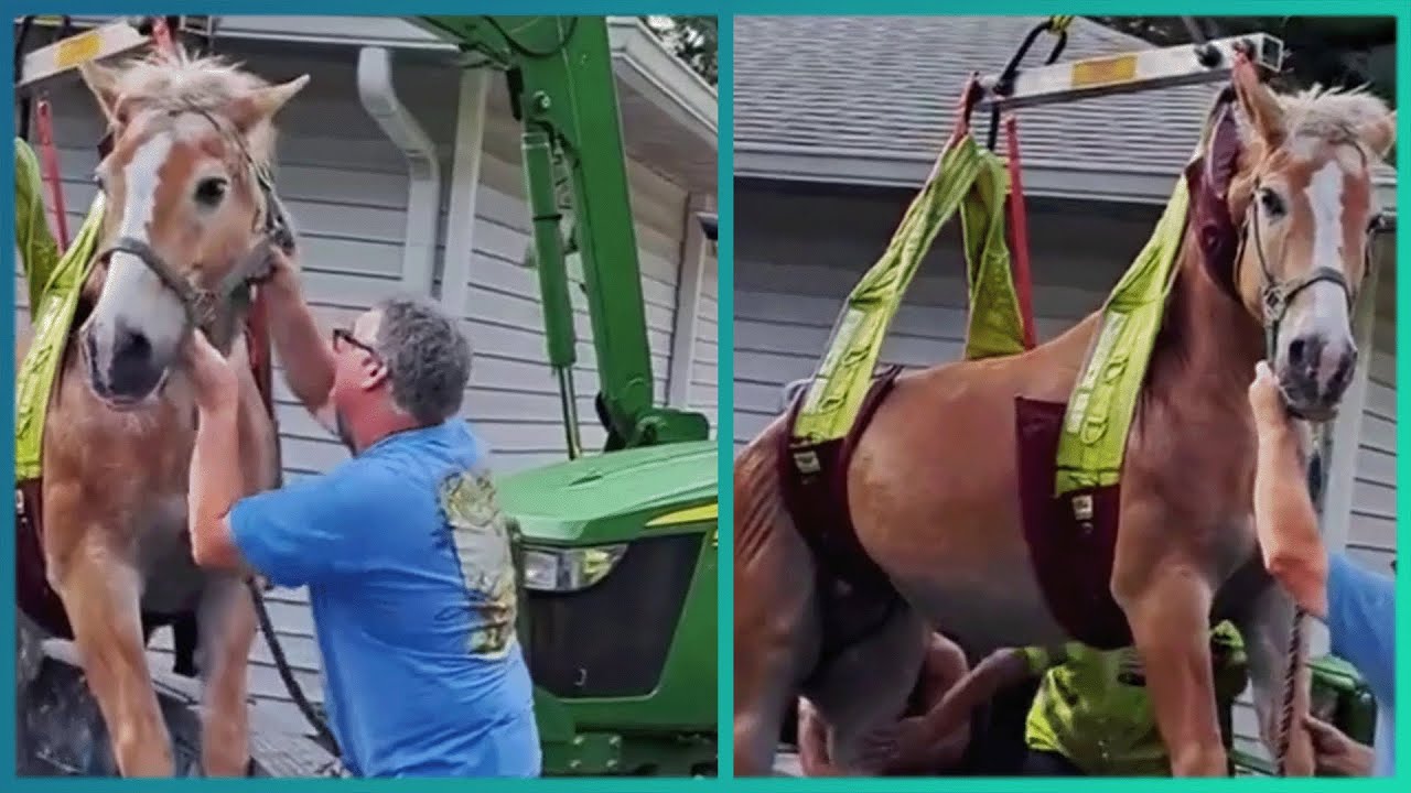 Top 35 Random Acts of Kindness That Will Make You Cry 🥺 | Faith In Humanity Restored 😭