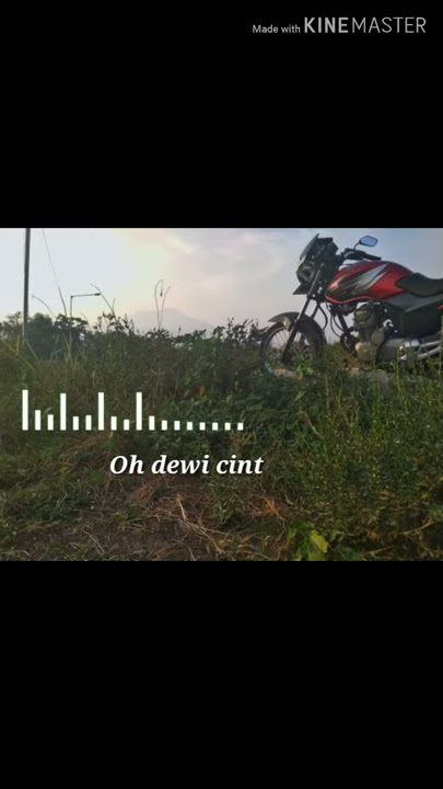 story wa megapro