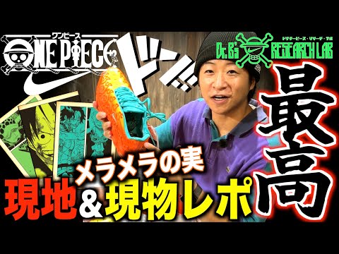 [On-Site Report] A Must-See for One Piece Fans!! The NIKE x ONE PIECE Collab Was Beyond Amazing!!