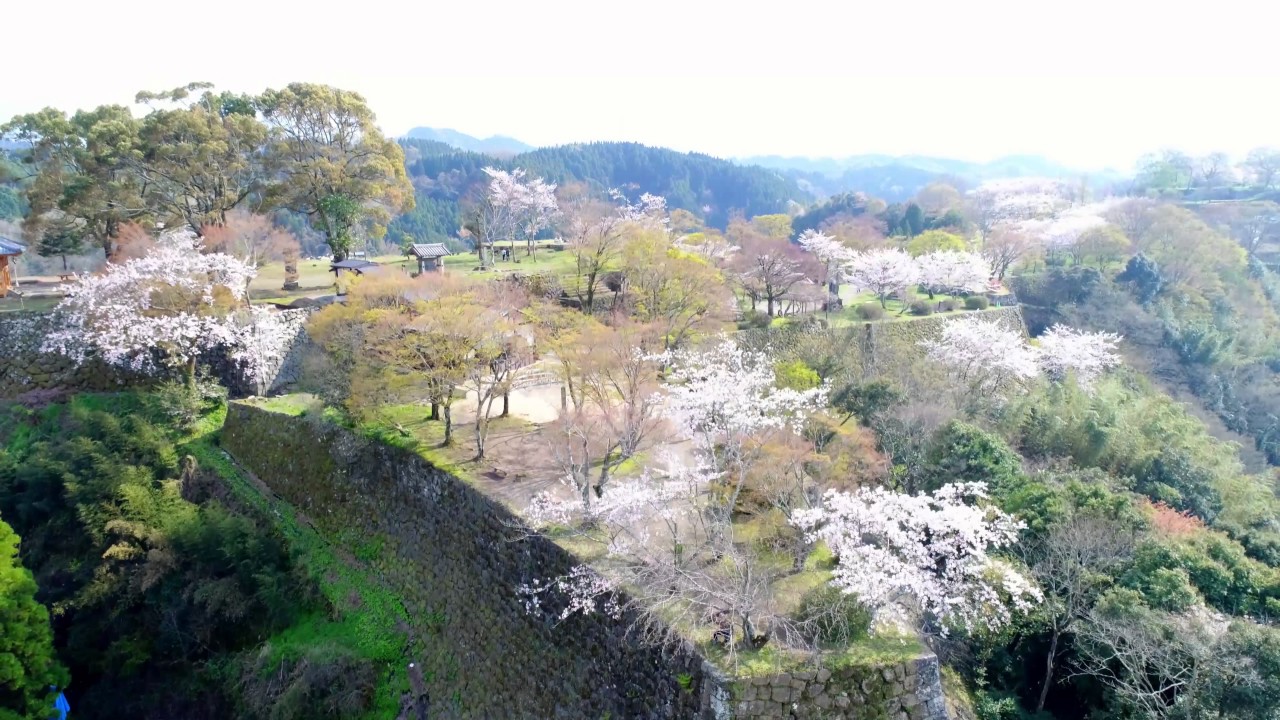 花見日和 岡城跡 九州竹田城 4k Cherry Blossom Viewing Drone Video In Oka Castle Youtube