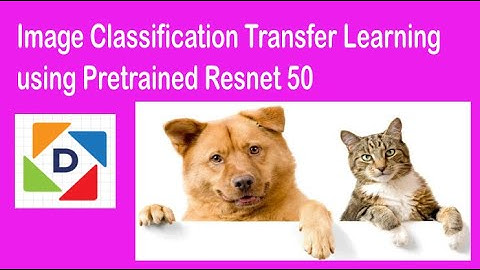 Image classification transfer learning in PyTorch