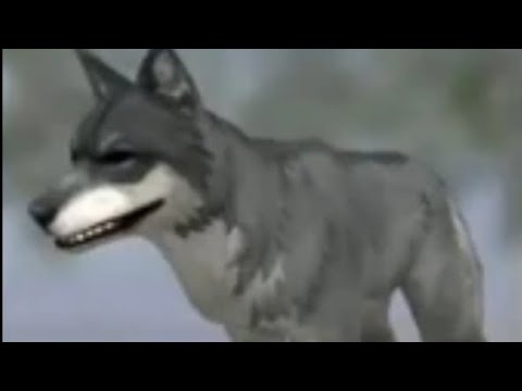 JINGLE.MP4