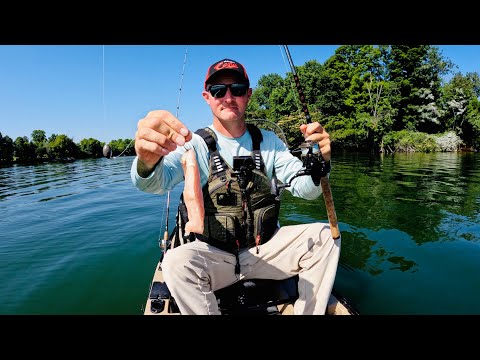 Kayak Catfishing During the Spawn | Hot Summer Catfish Action | Old Town Sportsman 120 Pro Kayak 