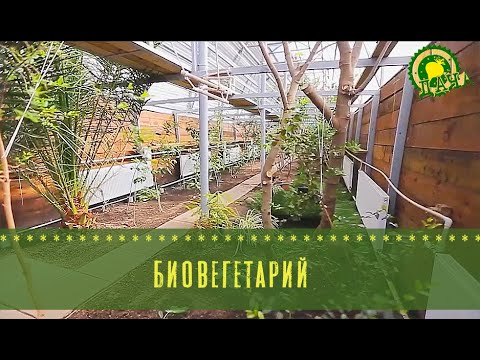 Видео: Биовегетарий