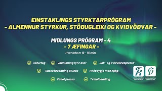 Einstaklings styrktarprógramm 4