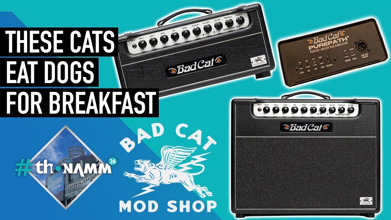Best of Show from Bad Cat! | Hot Cat 50 & Purepath | 