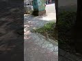 20260531昂首闊步 無視他人 好像你辦公室的誰人？