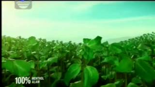 Indosiar La Manthol 22 36