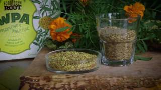 Wildflower Pale Ale