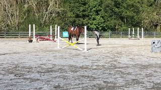 Horse Flung the Rider to the Ground After the First Jump
