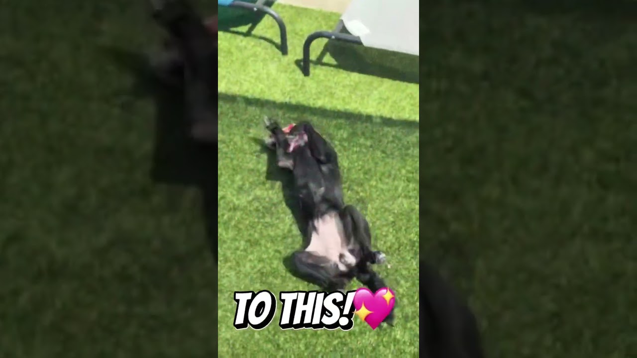 Lola has really come a long way! 