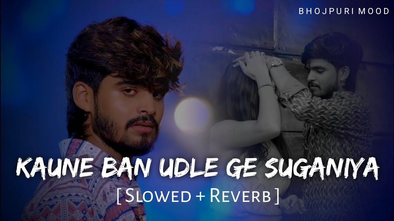 Kaune Ban Udle Ge Suganiya - Lofi (Slowed + Reverb) | Aashish Yadav || कौने बन उड़ले गे सुगनिया ||