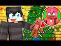 TRANSFORMING into a GINGERBREAD COOKIE ?! | ROOMIES - Minecraft Roleplay