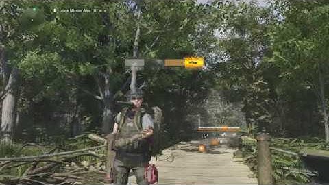 The Division 2 - Invisible AR bug