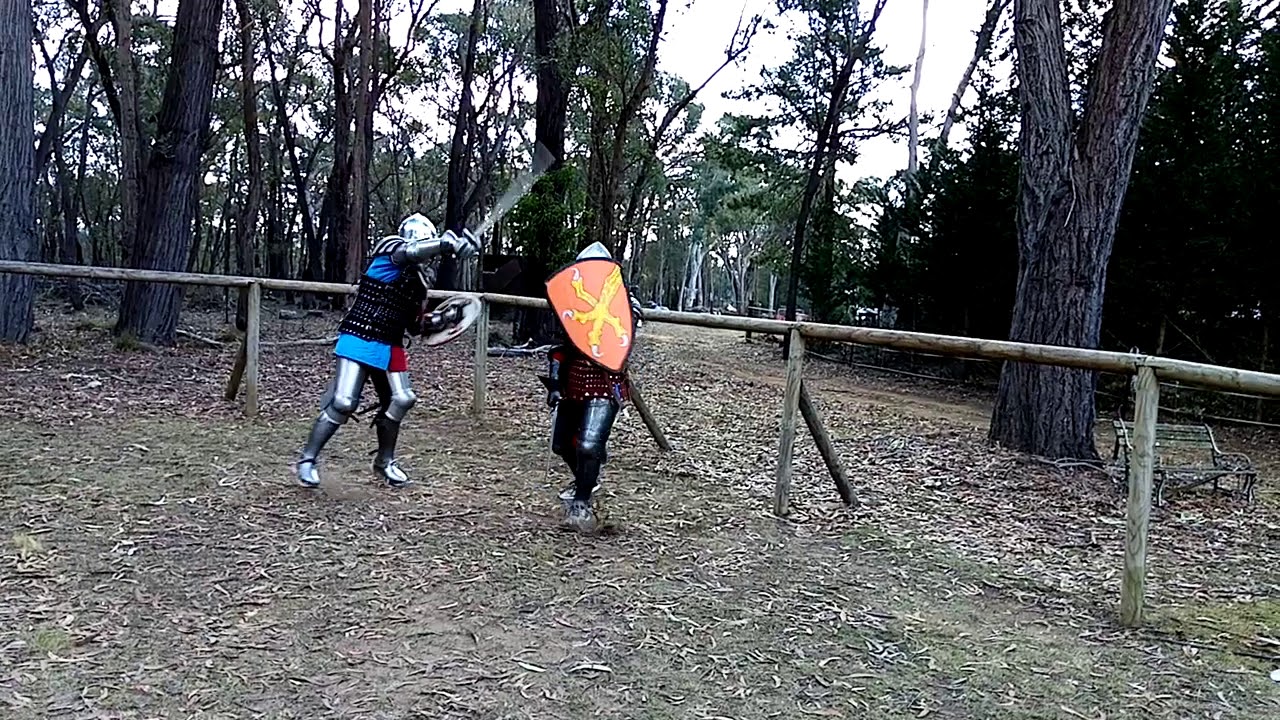 Sword and shield training 2