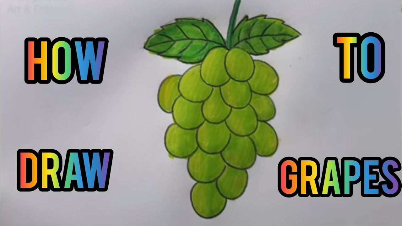 আঙ্গুর আঁকা ।। Grapes Drawing