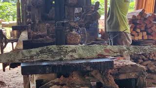 The Future of Woodworking: Exploring an Ultra-Efficient Sawmill.