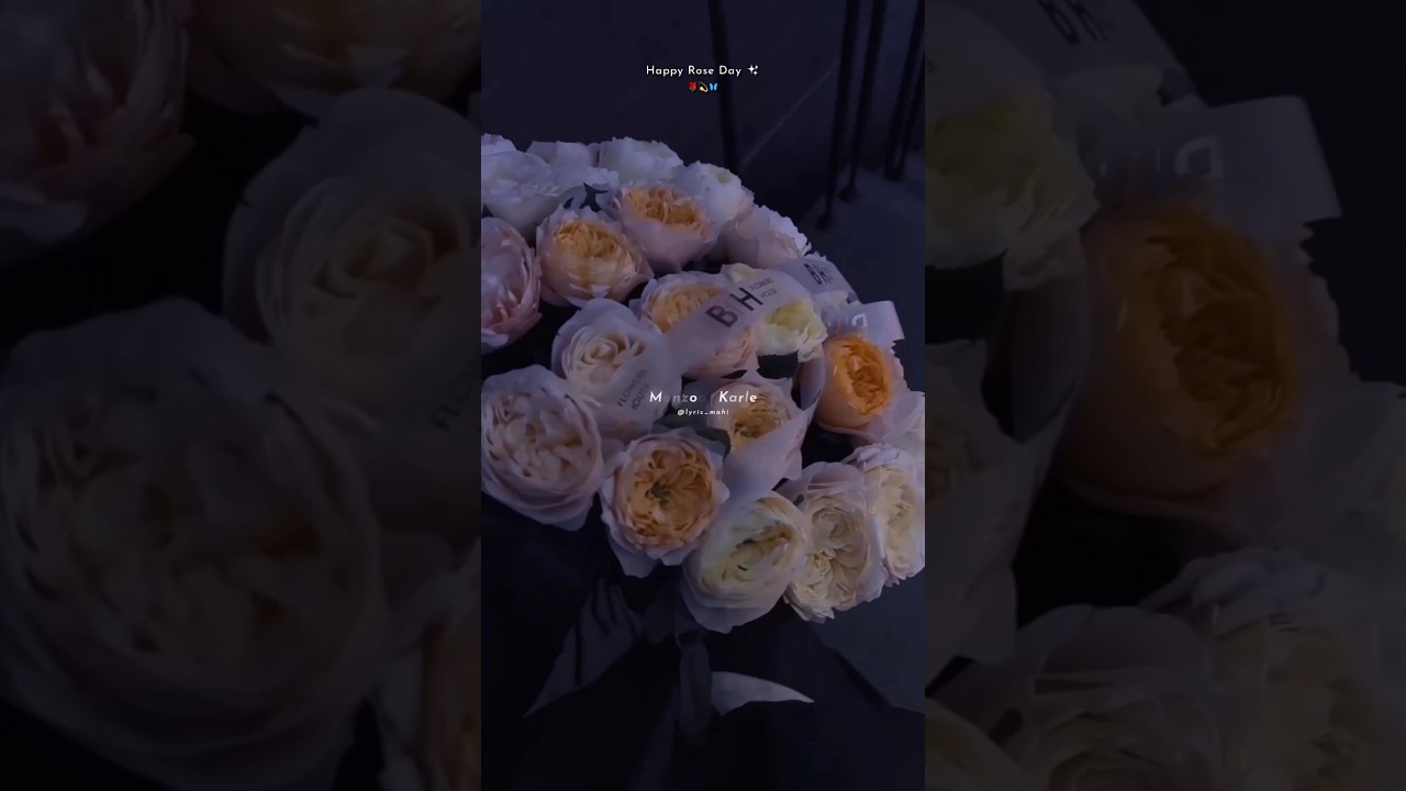 Tomorrow ✨ 💕 || Happy Rose Day 🌹 || Love Status 💗 ||Lyric Mahi 